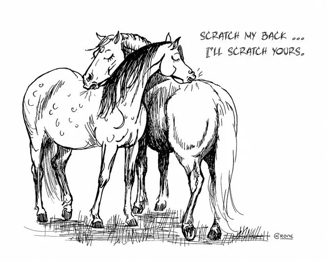 Scratch my back. You scratch my back, i’ll scratch yours. scratch my back and i scratch yours. scratch my back and i&#039;ll scratch yours.