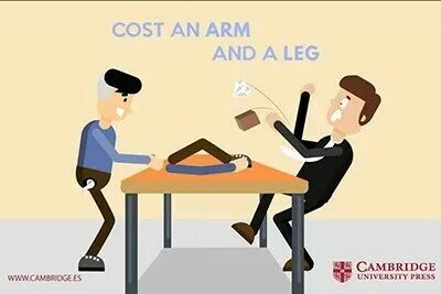 Want a leg