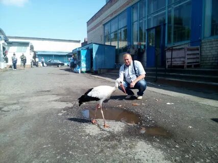 Подслушано в щиграх