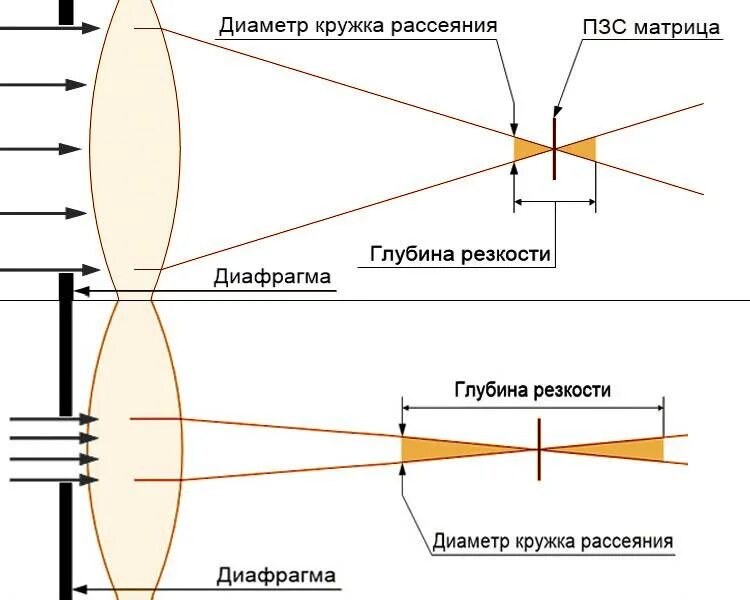 Как работает диафрагма. Схема работы диафрагмы фотоаппарата. как работает диафрагма в фотоаппарате. глубина фокуса объектива. как диафрагма влияет на глубину резкости.
