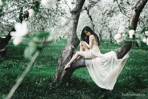 Фотограф ангелиос