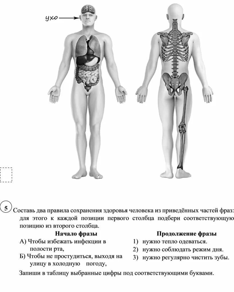 Человек радуется когда он взрослеет впр 7. ВПР по окружающему миру 2021 год. ВПР 4 класс окружающий мир 2022 год задания. ВПР 4 класс окружающий мир 2022 с ответами. Ответы на ВПР 2020 года 4 класс окружающий мир.