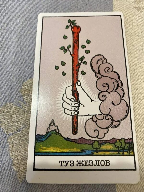 таро арканум галерея. туз жезлов таро. туз жезлов таро. туз жезлов здоровье. туз жезлов таро райдера уэйта.
