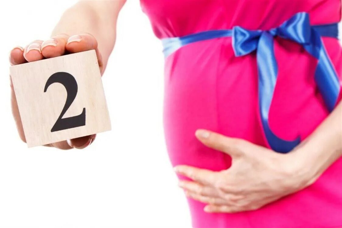 Вторая беременность мальчиком. 2 Месяц беременности. Картинки на тему вторая беременность. Поздравление с беременностью. 2 Months pregnant.