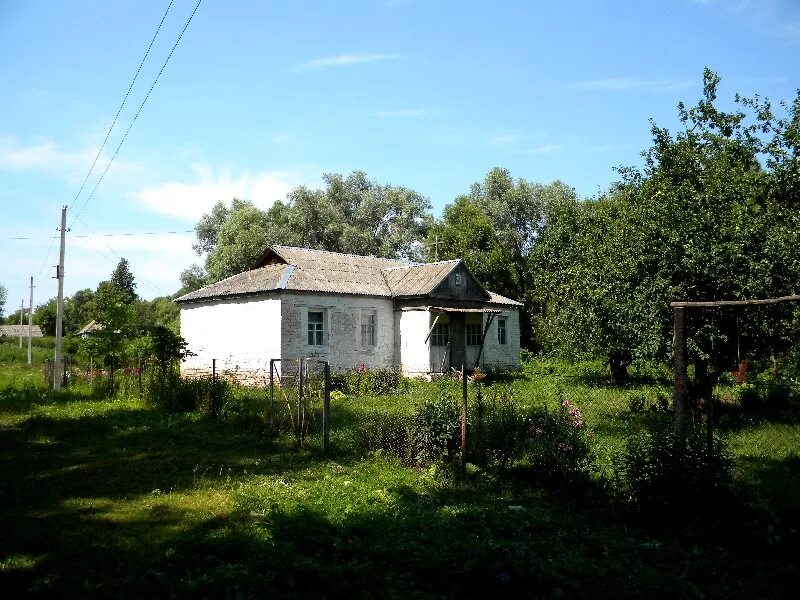 Прилепы. Прилепы
