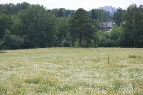 Томская продам участок