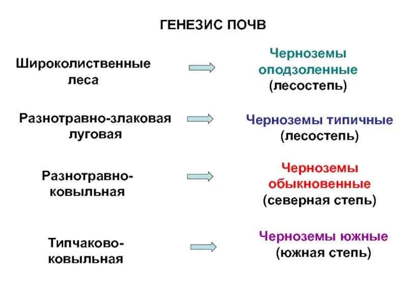 Генезис почв. Классификация почв по генезису. Генезис черноземов. Широколиственные леса почва чернозем. Генезис явления