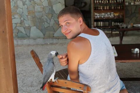 Шишков спб