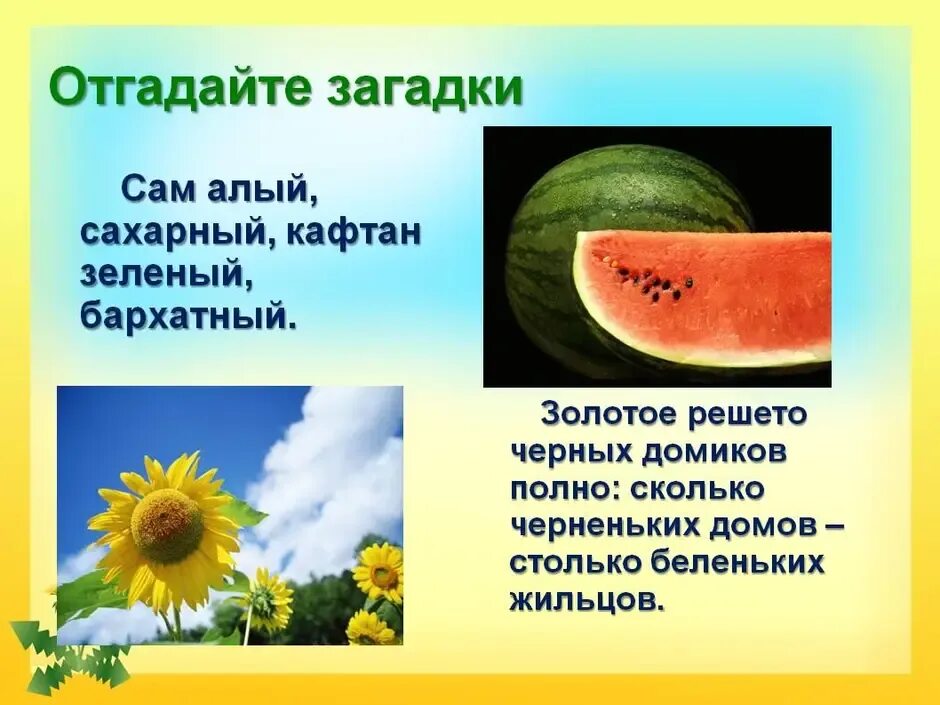 Загадки про имя прилагательное 3 класс. Загадки с прилагательными. Загадки с приоагательным. Имена прилагательные в загадках. Закатки с прилагательными.