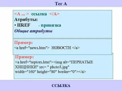 Атрибут href