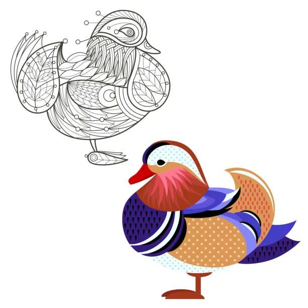 Утка мандаринка раскраска для детей распечатать A monochrome sketch of a duck Stock vector Colourbox Bird coloring pages, Colori