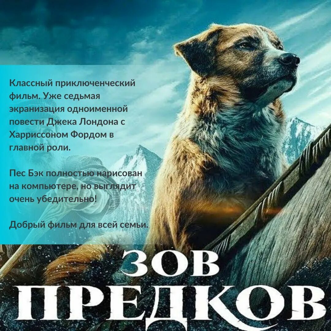 Рекламу зов предков. Зов предков пес бэк. зов предков 2025. фильм зов предков про собаку бэка. собака бэк зов предков.