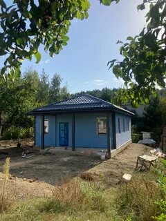 Сип в крыму