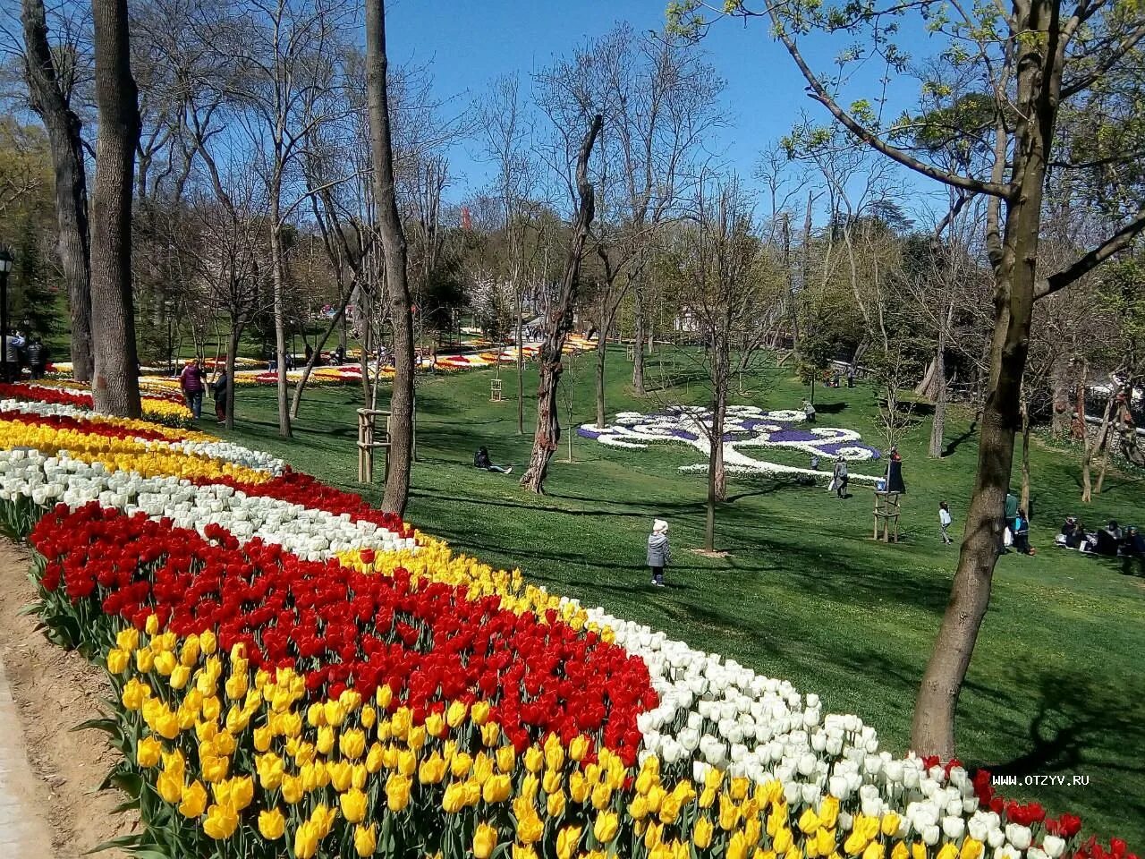 Парк тюльпанов в стамбуле. Парк Эмирган в Стамбуле. Парк Эмирган в Стамбуле тюльпаны. Парк Гюльхане в Стамбуле фестиваль тюльпанов. Парк Эмирган в Стамбуле в апреле.