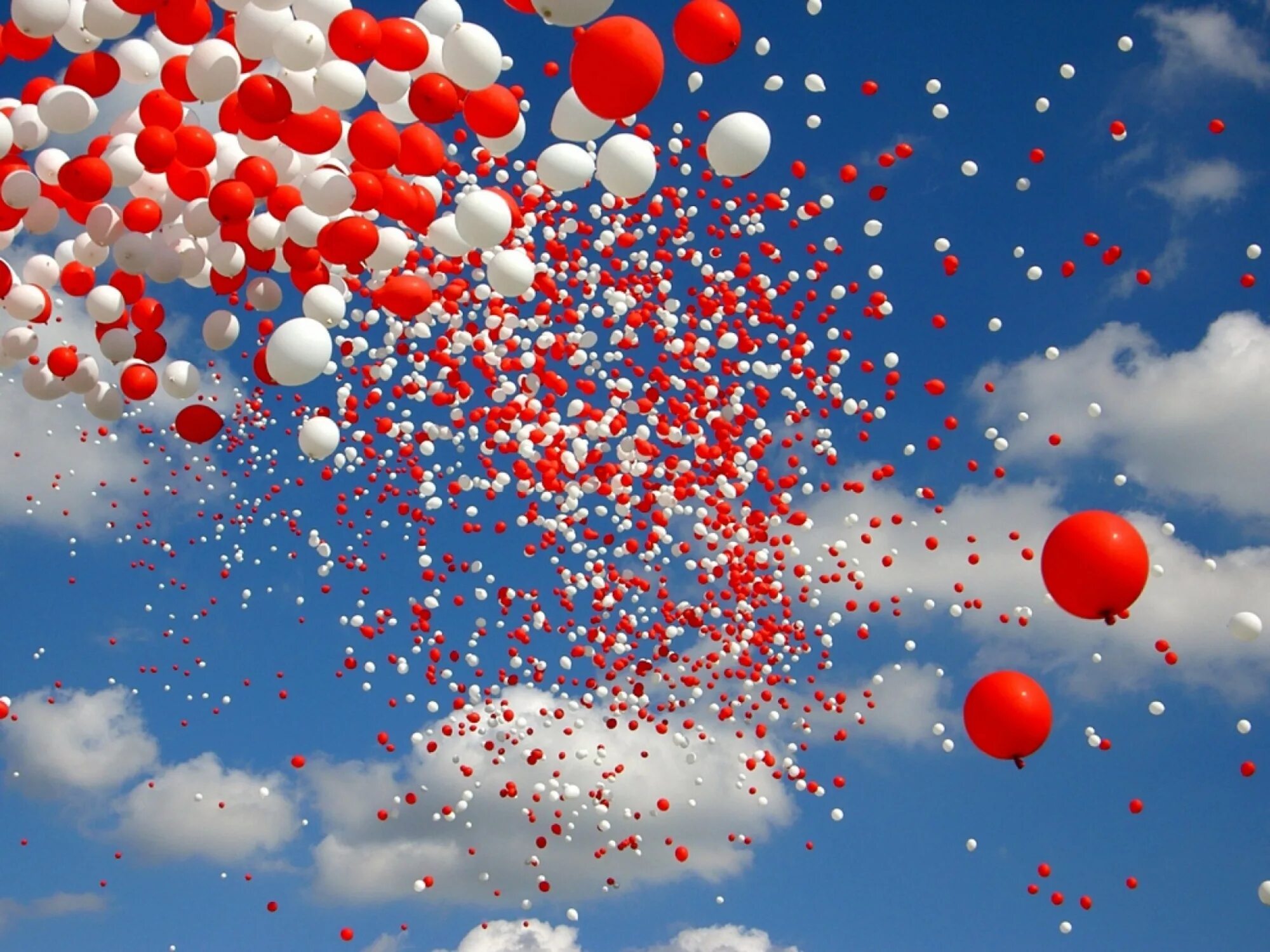 Шары в небе. Много шаров в небе. Воздушные шарики в небе. Красные шары в небе.