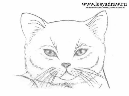 Как нарисовать красивые большие рисунки