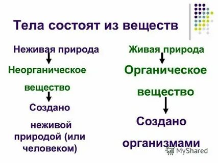 Перечислите органические вещества растения