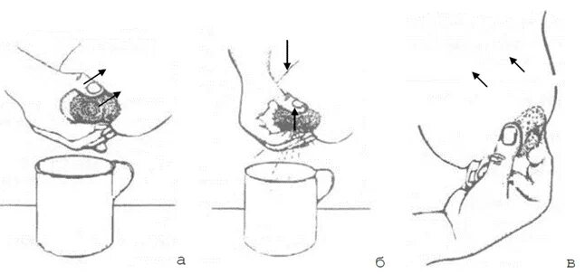 Массаж груди во время. Сцеживание грудного молока руками. Техника ручного сцеживания грудного молока. Схема сцеживания грудного молока. Сцеживание грудного молока руками как правильно.