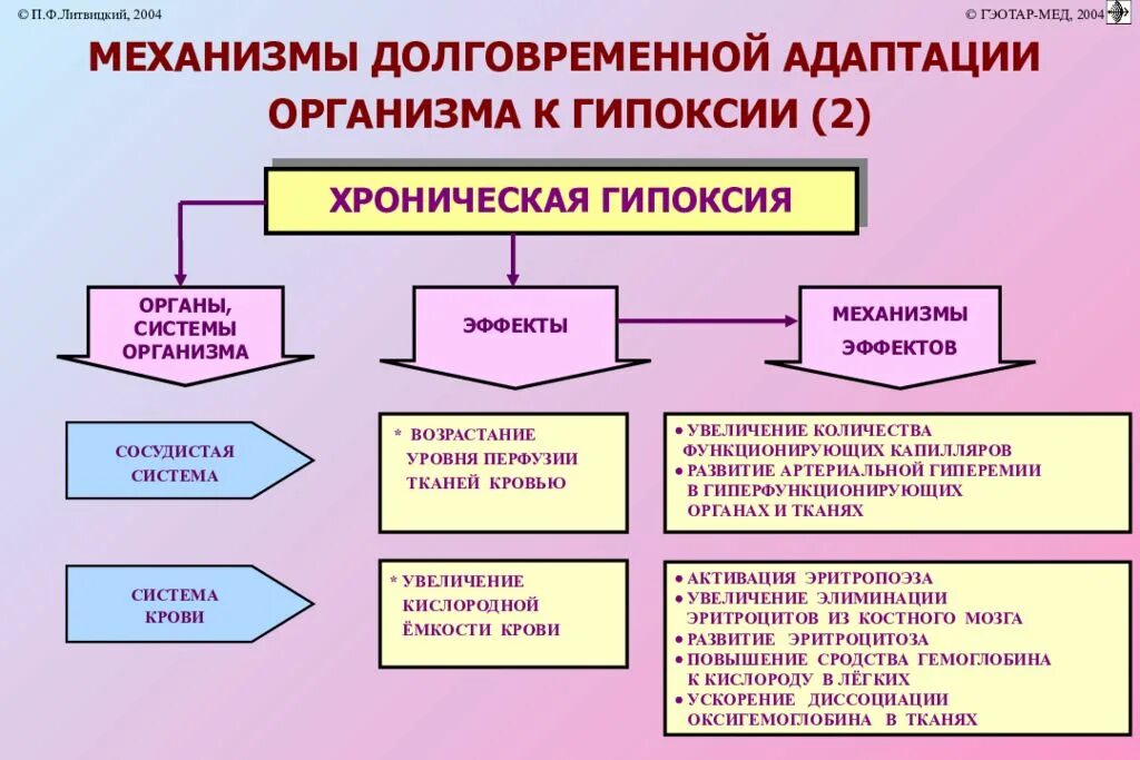 Механизмы долговременной адаптации к гипоксии. Долговременные механизмы адаптации при гипоксии. Механизмы экстренной адаптации организма при гипоксии. Механизмы срочной адаптации к гипоксии.