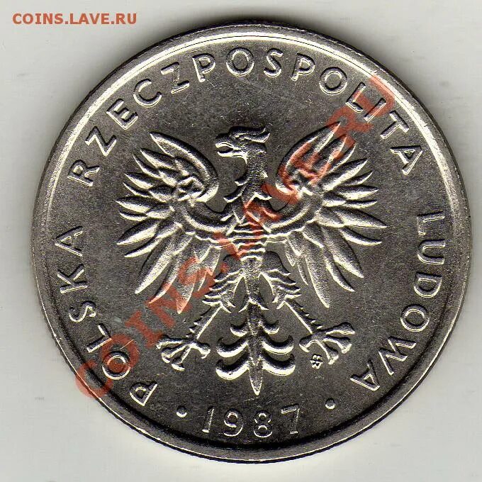 Zlotych монета. 20 злотых в рублях