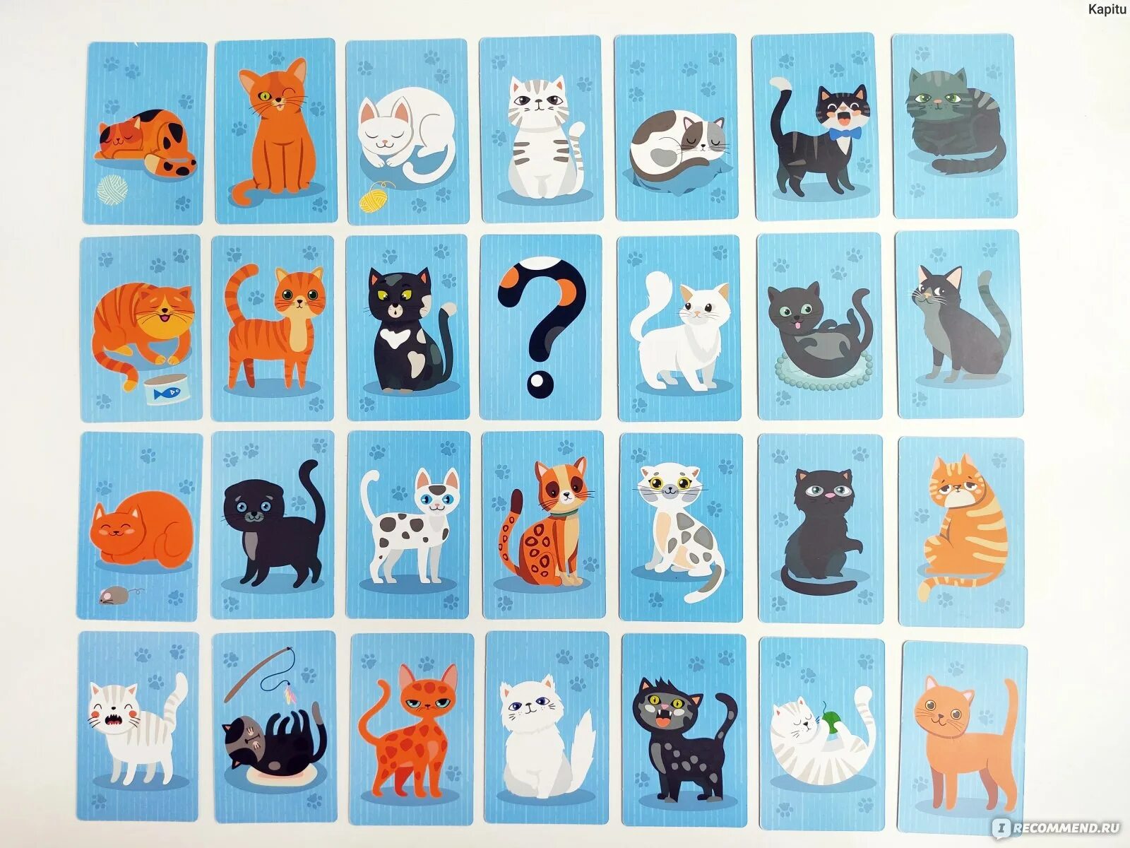 Как играть в игру котики. Где мой кот игра десятое королевство. настольная игра котики. где мой кот настольная игра. настольные игры про кошек для детей.