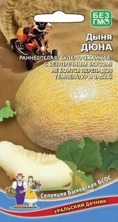 Дыня дюна