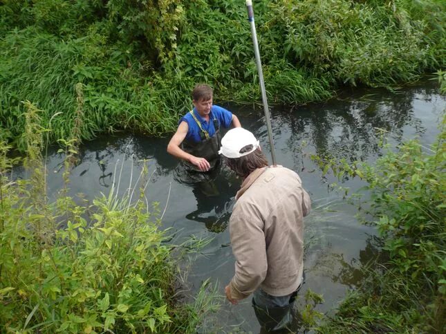 гидрологическая сеть россии. гидрологические чс. угмс гидрология. гидрологический бюллетень. угмс гидрология.