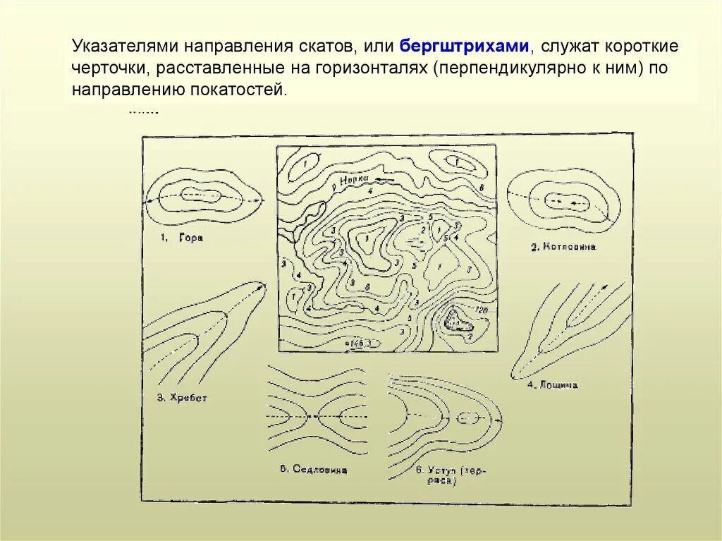 Берг штрихи. Бергштрих это в геодезии. Бергштрих на топографической карте. Указатели направления скатов бергштрихи. Берширих на топографической карте.