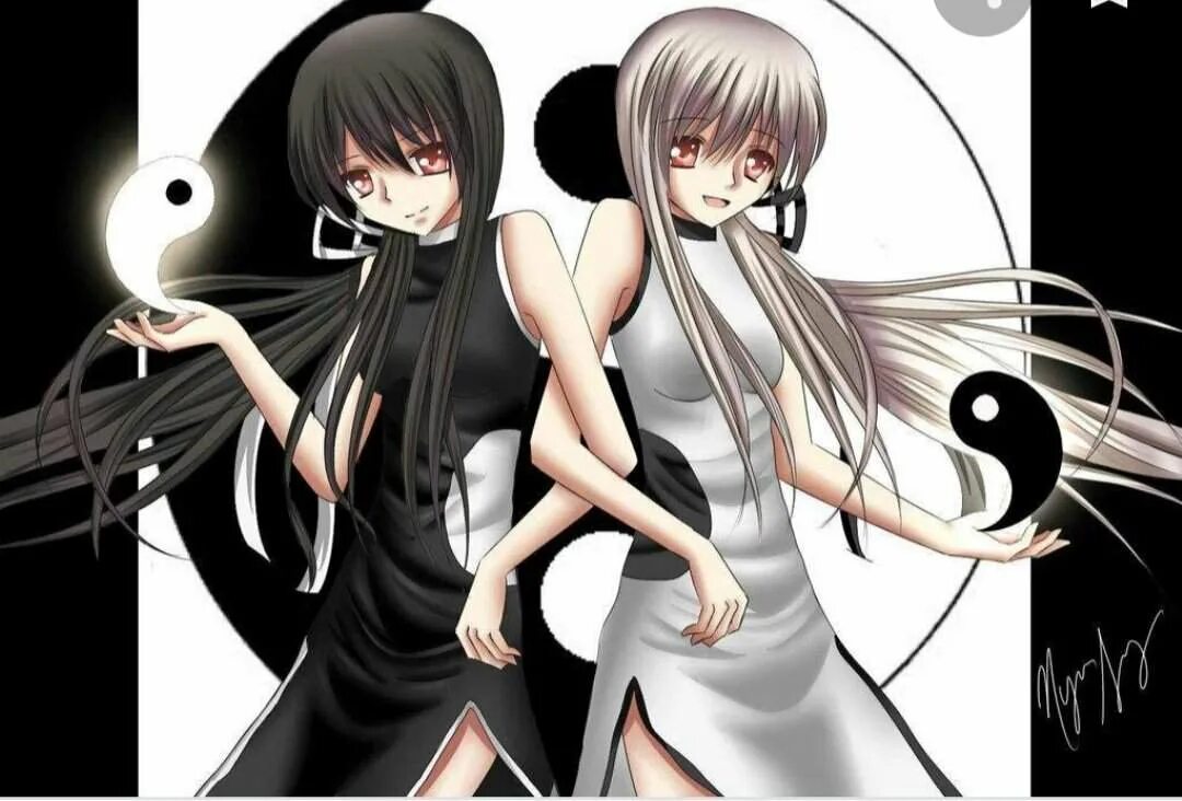 Девочка инь янь. Аниме близнецы инь и янь. Картина инь янь с мужчиной и женщиной. Инь янь аниме. Аниме девушки инь и янь.