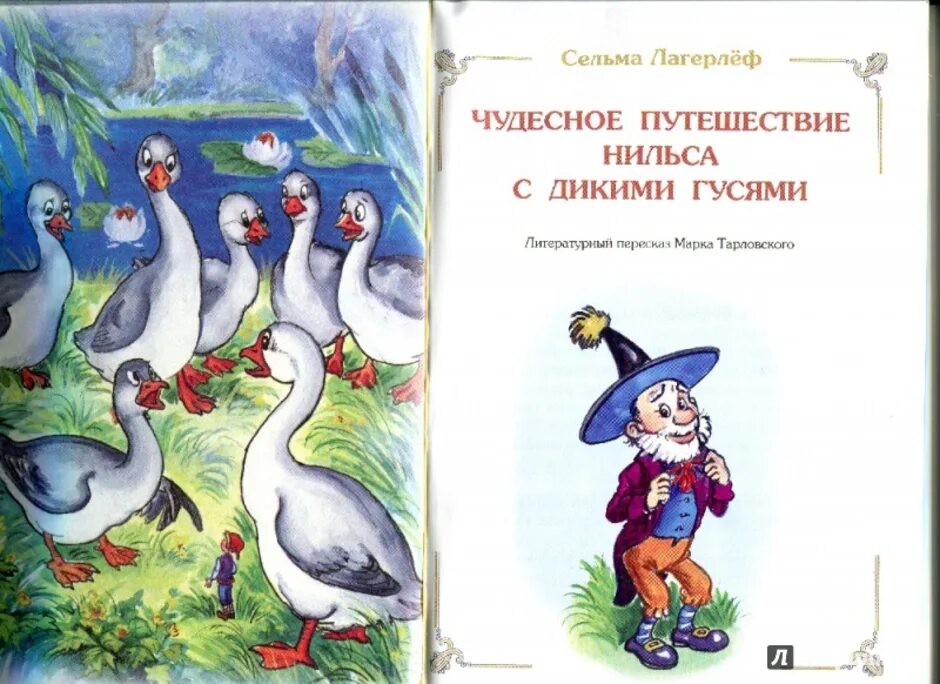 Краткое содержание нильса с дикими. Чудесное путешествие Нильса с дикими гусями. Путешествие Нильса с дикими гусями иллюстрации. Путешествие Нильса с гусями. Сельма Лагерлеф путешествие Нильса.