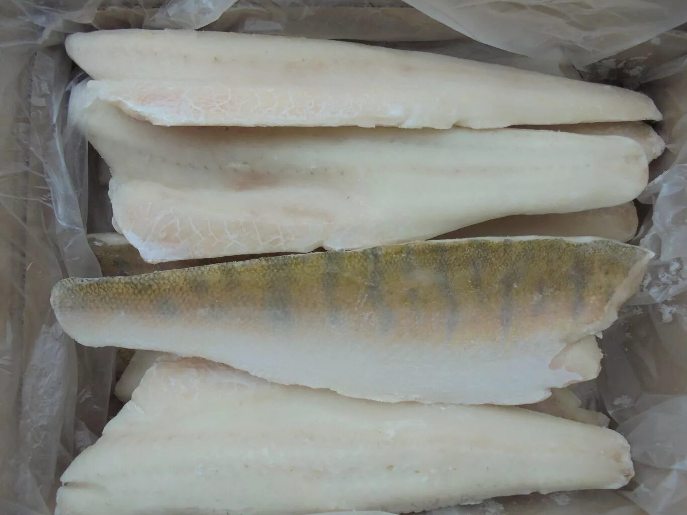 Судак рыба филе. Филе судака фото. Филе судака фото. Филе судака на коже. Филе судака (замороженное).