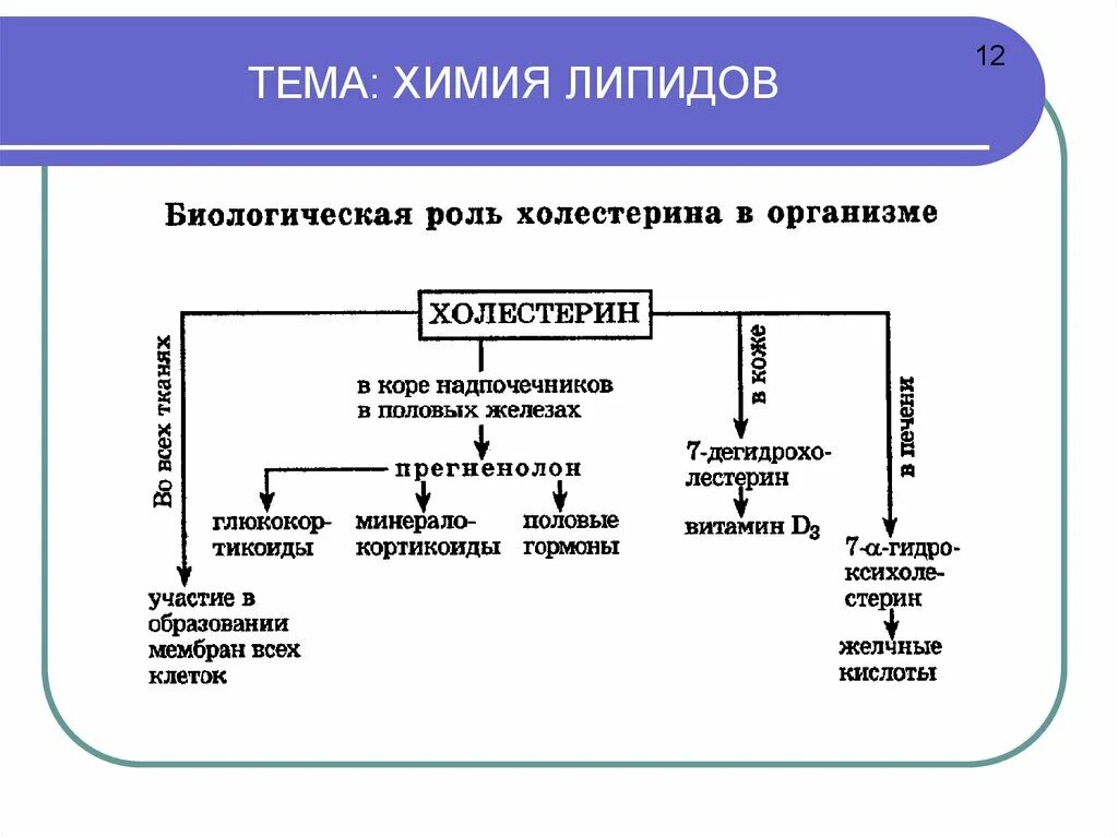 Биологическая роль холестерина. Биологическая роль липидов липидов. Классификация липидов схема. Биологическая роль липидов жиров. Химическая классификация липидов.