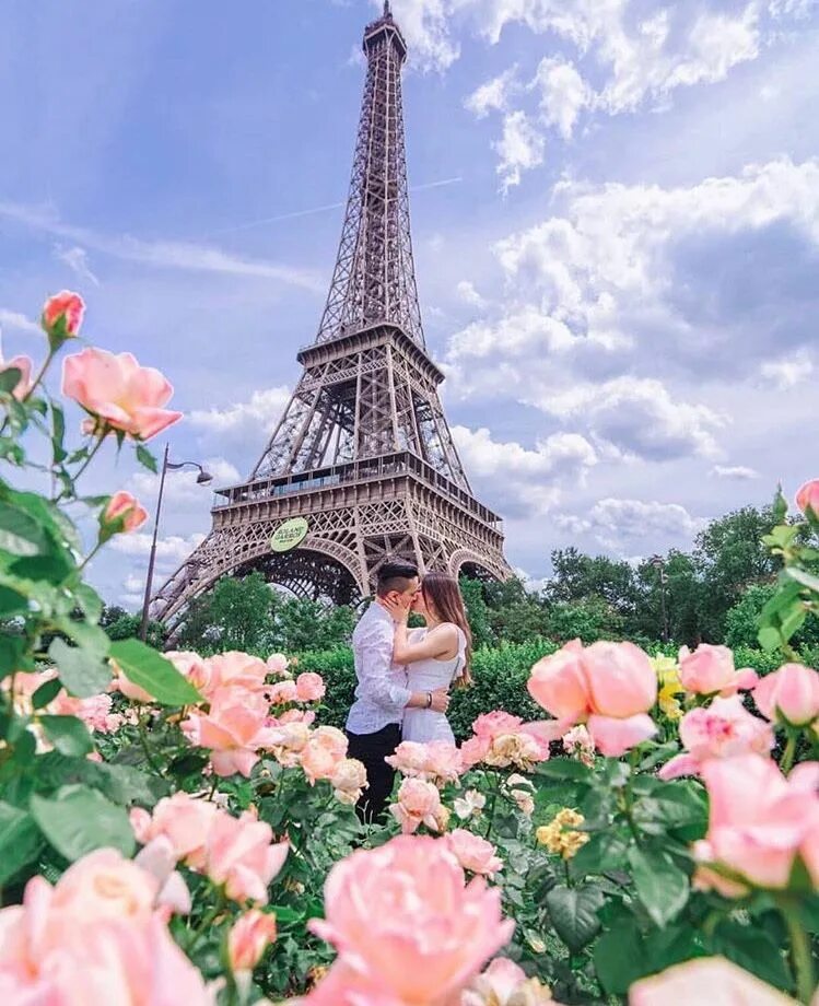 Париж любовь. Эйфелева башня в цветах. Эйфелева башня для детей. Тег франции