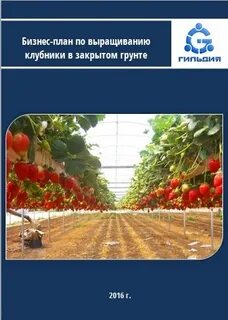 Бизнес план выращивание