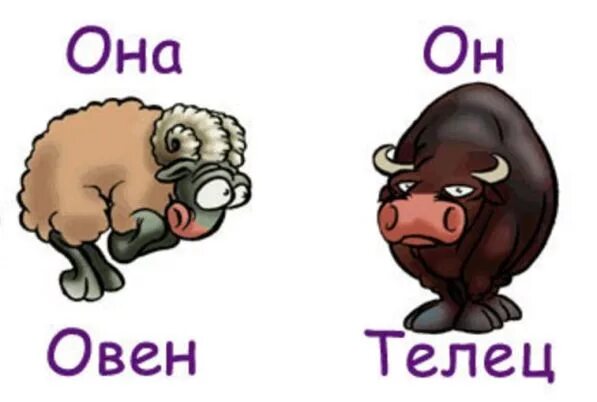 Знаки зодиака овен и телец. Овен и телец совместимость. Совместимой козерожка и телец. Знак зодиака телец. Совместимость овна и тельца.