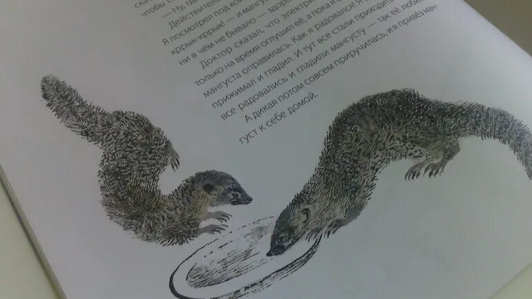 Житкова. О рассказе мангуста б. О рассказе мангуста б. Мангуста рассказ житкова. "мангуста".