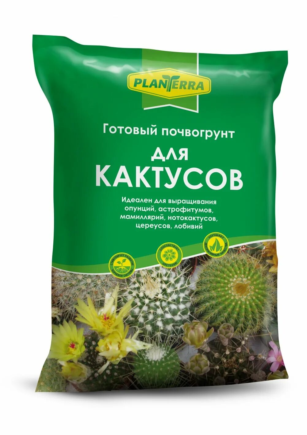 Какой грунт нужен для кактусов