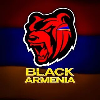 Toto gaming армения