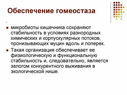 Что обеспечивает ей