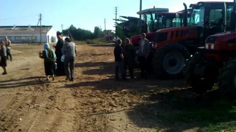 Погода в ротово
