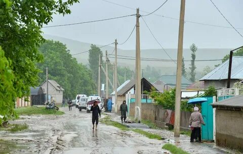 Погода в шимкенте