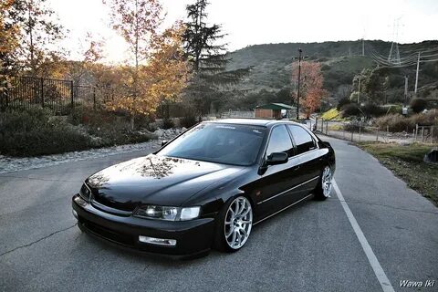 Accord 5