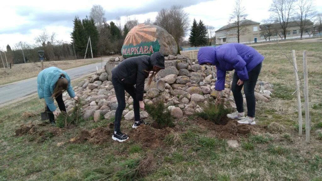 Сажают ли картошку на радоницу. На радоницу можно картошку садить. Посадка картофеля на урале. Можно ли в радоницу копать землю. На радоницу можно картошку садить.