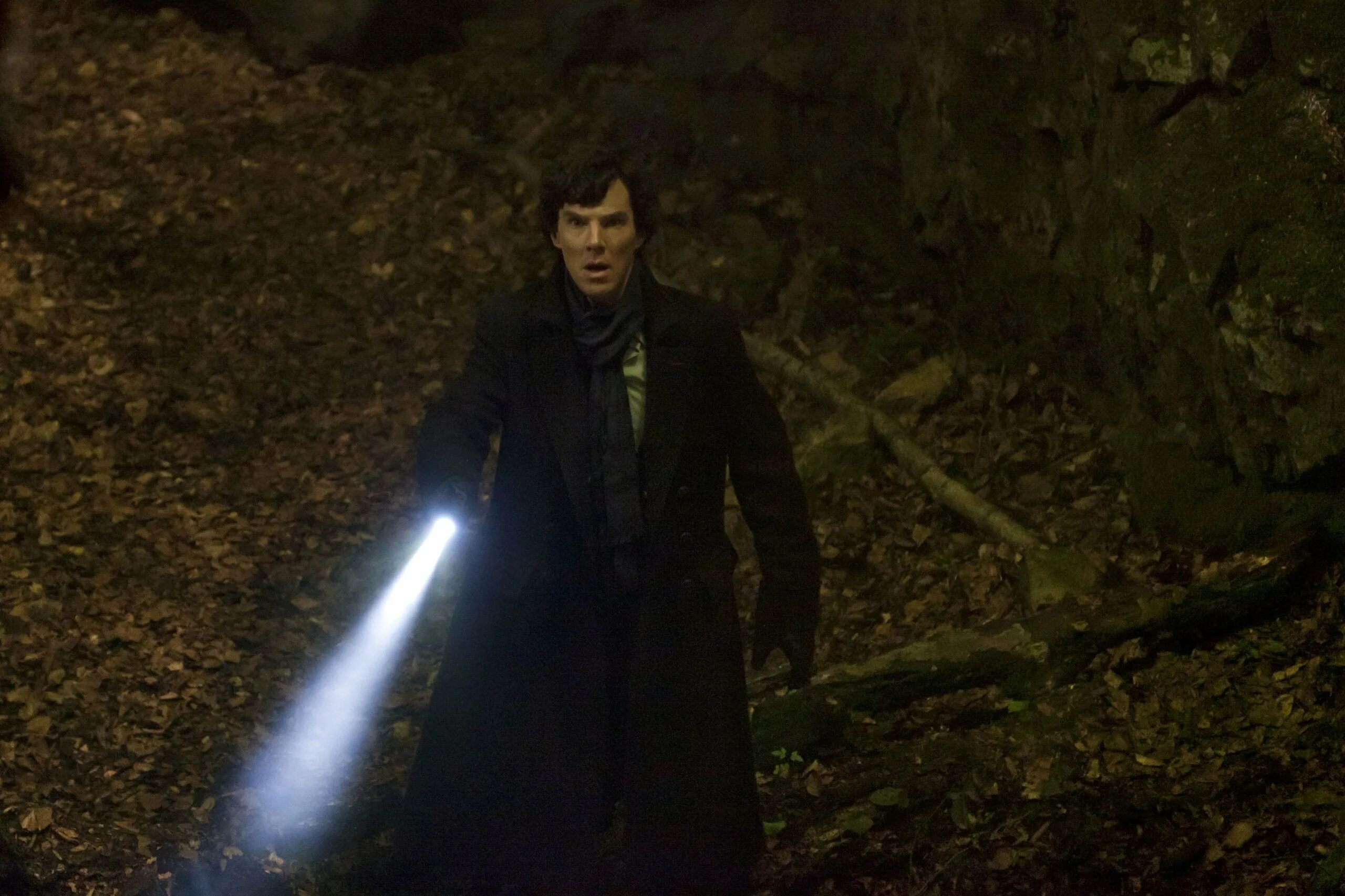 Sherlock hounds of baskerville