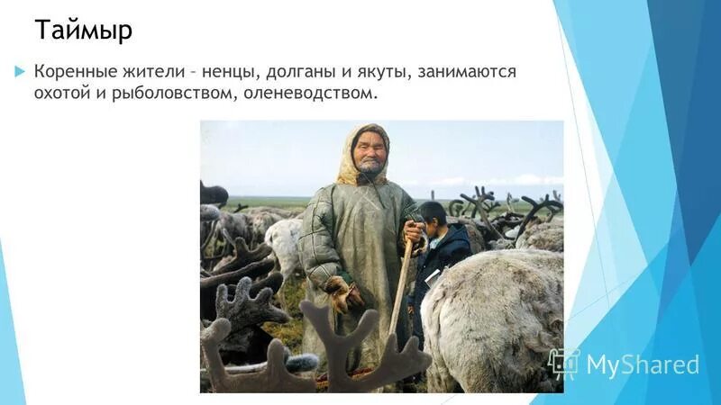 Коренные жители ошибка. Коренные жители ошибка