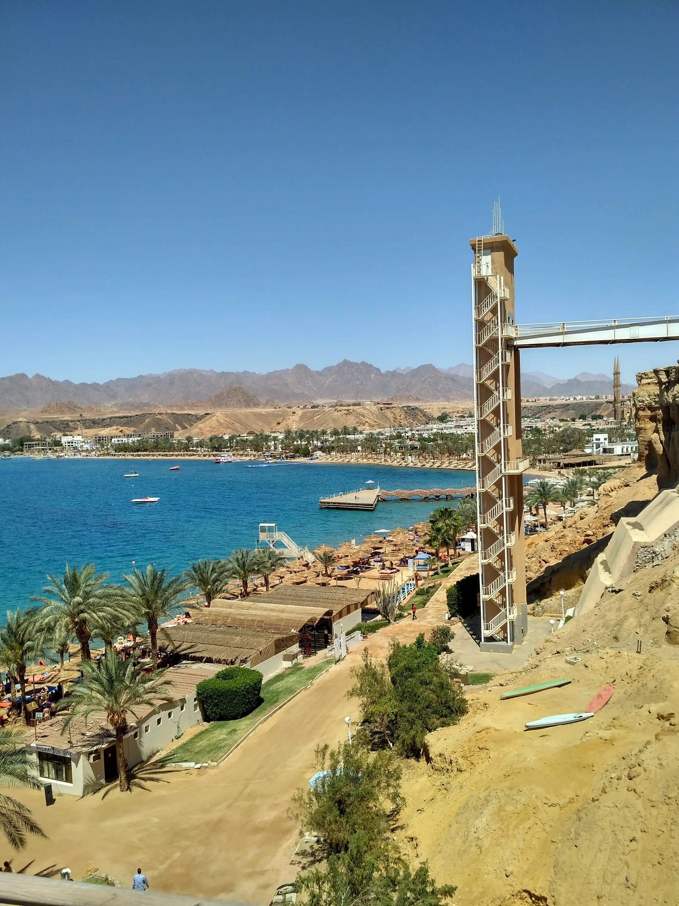 Обзор альбатрос шарм эль шейх. Обзор альбатрос шарм эль шейх