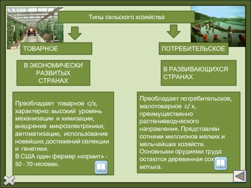 Сельский потребительский. Типы сельского хозяйства мира. Географические типы сельского хозяйства мира. Сельское хозяйство в развивающихся странах. Типы организации сельского хозяйства.