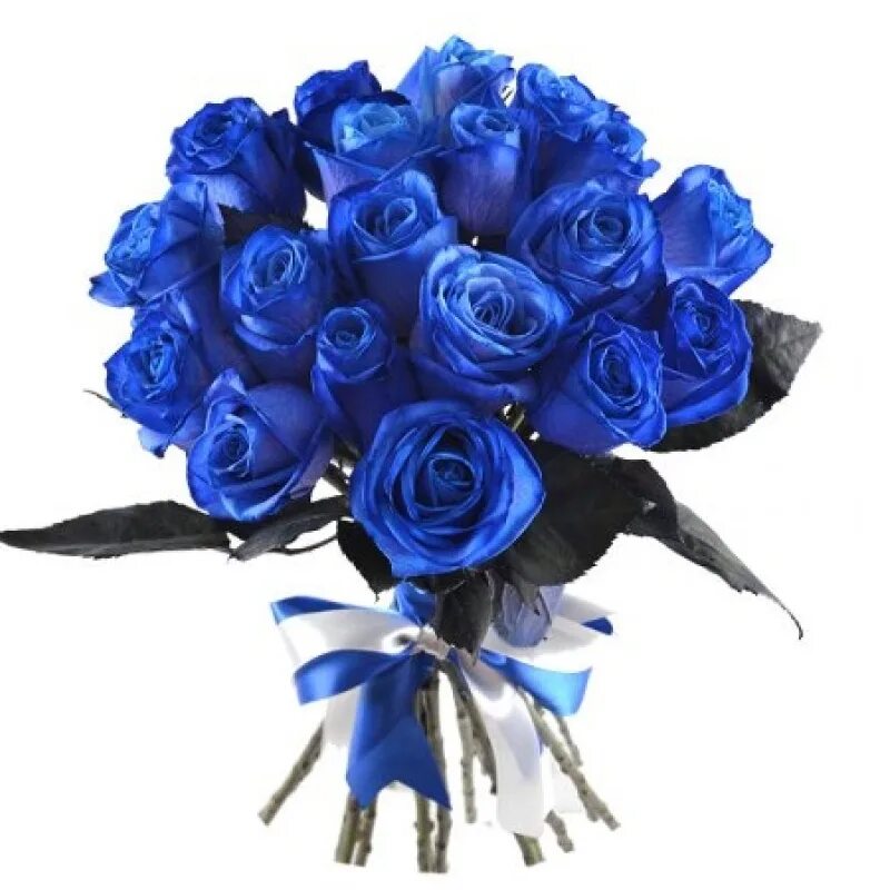 Синяя 25. Роза Венделла синяя. Синяя роза Беккер. Роза Венделла Блю. Синяя роза Беатрис.