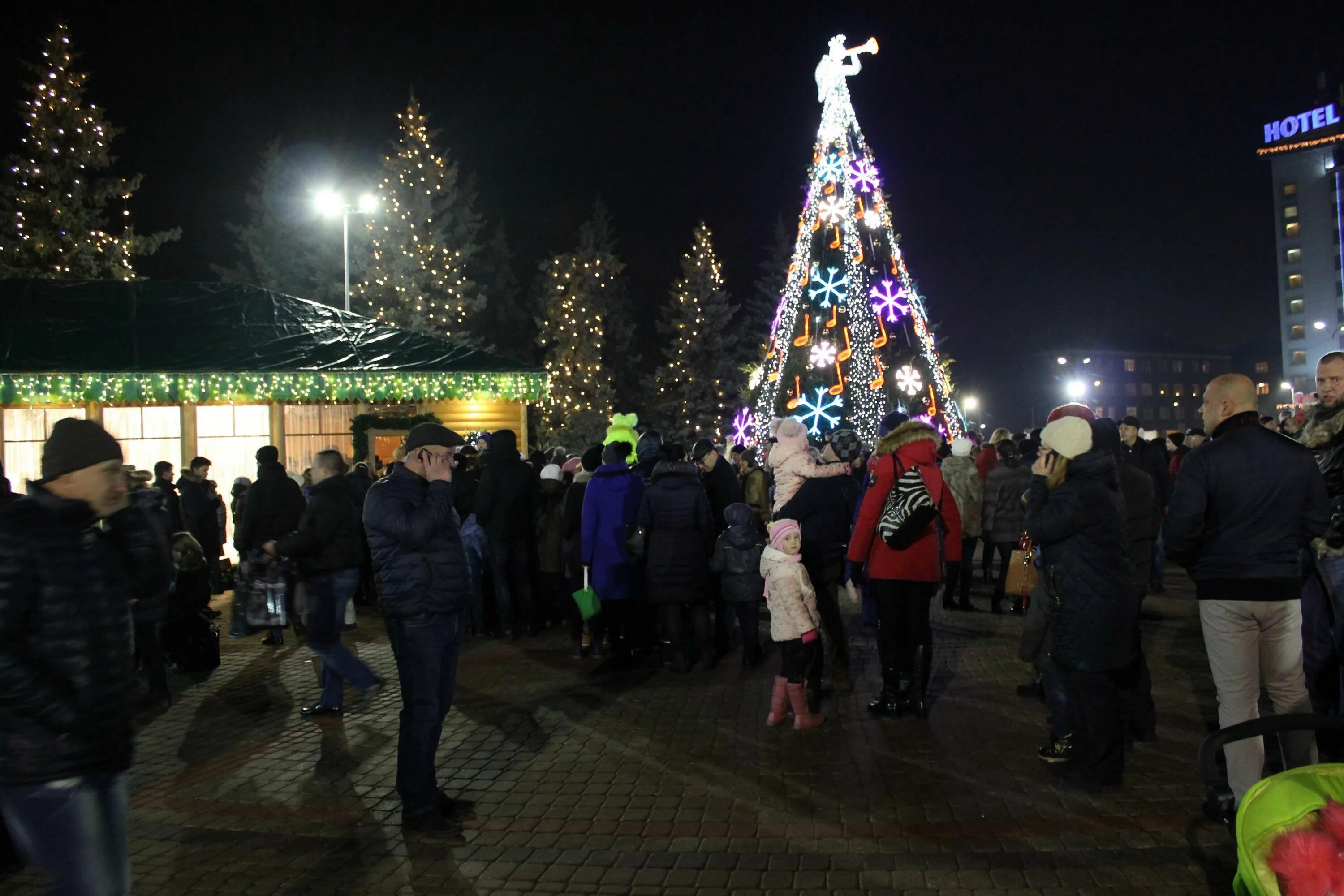Даугавпилс елка. Елка на главной площади. Елка на красной площади. Зажжение елки в анапе. Зажгли главную елку.