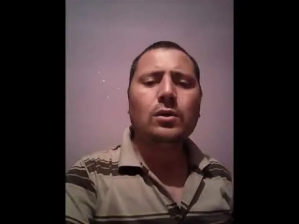 Кучим кучимов. Кучим кучимов